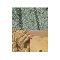 کاه گندم.  یونجه