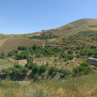 فروش زمین کشاورزی و باغی کلاترزان