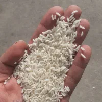 برنج ایرانی|خوردنی و آشامیدنی|بهشهر, |دیوار