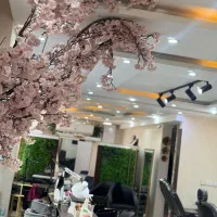 اجاره تمامی لاین های زیبایی