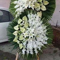 تاج گل دسته گل و باکس گل