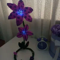 شب خواب