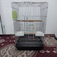 قفس ۱۰/۳۳