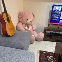 خرس ولن تاین بزرگ