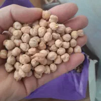 نخود درجه یک تازه و درشت بدون آشغال