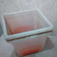 گلدون