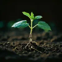 اگه-پول-داری-دنبال-سرمایه-گذاری-با-سود-واقعی-هستی