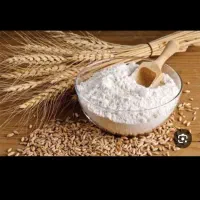 آرد گندم
