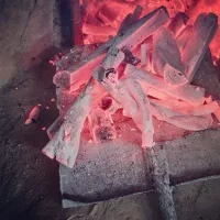 تولید و پخش زغال سنتی ساری
