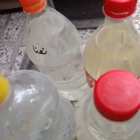 گلاب|آرایشی، بهداشتی، درمانی|نیشابور, کریم آباد|دیوار