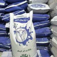 جایگزین شیر گوساله