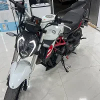 بنلی جفت 300