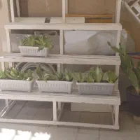 پایه گل