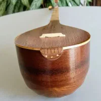 دو تار عطا قدیمی