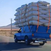 کاه تازه