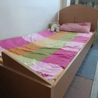دو عدد تخت تکنفره نوجوان