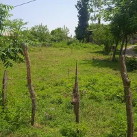 400متر-کامل-مسکون-شاندرمن-زیبا-تو-بر