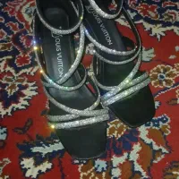 کفش مجلسی
