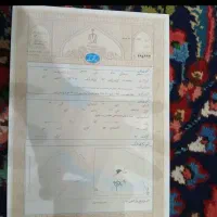 300متر-زمین-با-سند-تک-برگ-تجاری-مسکومی