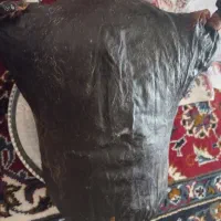 هیزه سالم گوسفندی