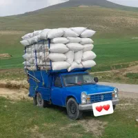 خرید وفروش کاه