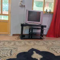 تلوزیون وزیر تلوزیون  ۱۰۰۰۰۰۰