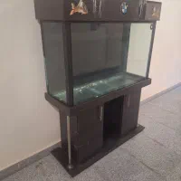 آکواریوم بزرگ