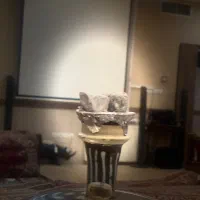 نیرو مرد  برای کار در قهوه خانه سن زیر ۲۵ سال