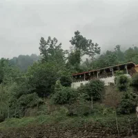 اجاره روزانه/هفتگی/ماهانه سالانه ۱۵۰متری