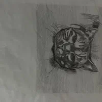 نقاشی و طراحی