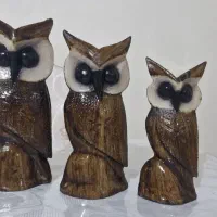 جغد چوبی