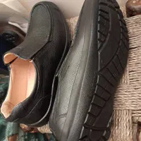 کفش البرز