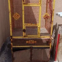 قفس برای پرندگان زینتی از فنس