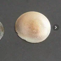 مهره