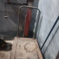 باسکول 200کلیوی سالم