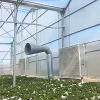 نگهبان برای گل خانه