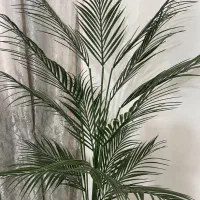 کلکسیون حراجی فقط۲۷۰۰