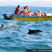 تورقشم ریلی ویژه اردبیهشت 1405