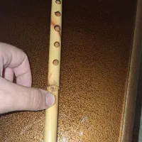 فلوت