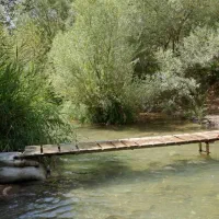 دستجرده موسیقی زنده