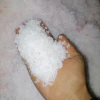 نمک خالص و طبیعی دریا