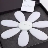 رینگ لایت گل