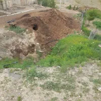 پهن گوسفند
