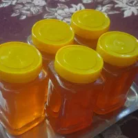 عسل طبیعی تفتان