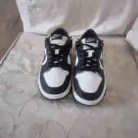 کتونی  NIKE  اصل ویتنام...معاوضه با پرنده