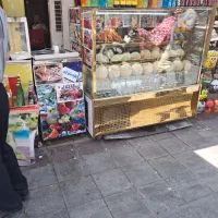 کار گر ماهر