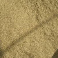 کاه گرگرو