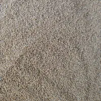 خوراک دام و طیور گندم و جو ذرت دانه مرغی قیمت عمده