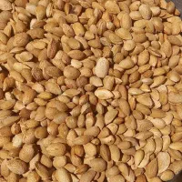 بادام تازه امسال دیم درشت
