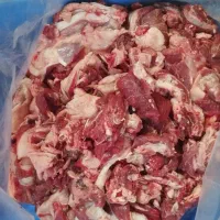 پخش خورده گوشت گوسفندی گوساله